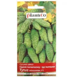 ogorek-konserwowy-tytus-korniszonki-male-3g-sredniowczesna-plenny-odporny