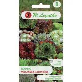 rojnik-klejnoty-skalne-mieszanka-gatunkow-nasiona