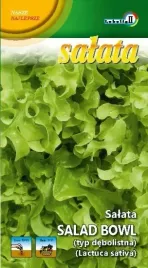 salata-debolistna-salad-bowl-1-gram-nasiona-deliktne-i-smaczne-liscie