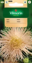 aster-chinski-igielkowy-lososiowy-05g-vilmorn
