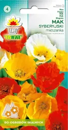 laka-kwietna-mak-syberyjski-wieloletni