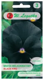 bratek-szwajcarski-wielkokwiatowy-black-king-04