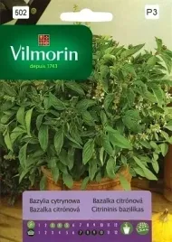 bazylia-cytrynowa-05g-obledny-zapach-i-smak-uprawa-caloroczna-vilmorin
