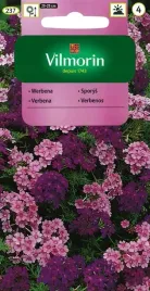 werbena-zwisajaca-mix-0-3g-nasiona-vilmorin