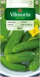 ogorek-ela-owocuje-do-jesieni-do-sloikow-nasiona