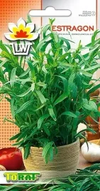 estragon-nasiona-ziol-02g-wieloletni-niezwykly-mocny-zapach-plenny