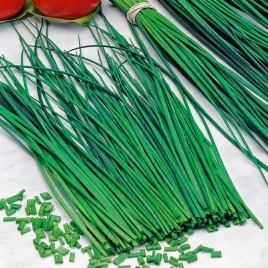 szczypiorek-bohemia-nasiona-warzyw-wieloletni-aromatyczny-nasiona