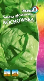 salata-maslowa-nochowska-1g-nasiona-sredniopozna