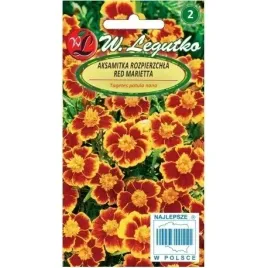 aksamitka-red-marietta-1g-do-uprawy-pojemnikach-na-rabaty-pachnaca-nasiona