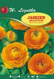 ranunculus-jaskier-azjatycki-pomaranczowy-10sz-l57
