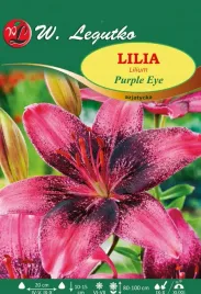 lilia-purple-eye-azjatycka-rozowo-czarna-bulwa-sadzonka-pachnaca