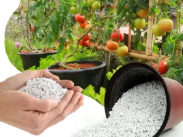 perlit-ogrodniczy-do-spulchnia-podloze-do-wysiewu-owocow-warzyw-roslin-2l