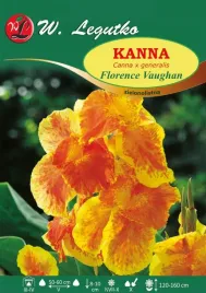 kanna-florence-vaughan-zielonolistna-1szt-klacze-czerwono-zolta