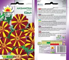 aksamitka-wysoka-klaun-05g