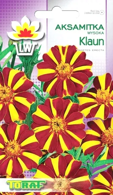 aksamitka-wysoka-klaun-05g-rodzaj-rosliny-aksamitki