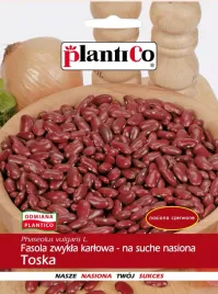 fasola-toska-40-g-nasiona-karlowa-na-suche-srednio-wczesna-karlowa-plenna