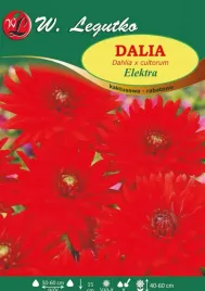 dalia-kaktusowa-rabatowa-elektra-cynobrowa-1sz-l13