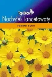 nachylek-lancetowaty-bylina-nasiona