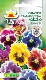 bratek-wielkokwiatowy-rokoko-atrakcyjna-odmiana