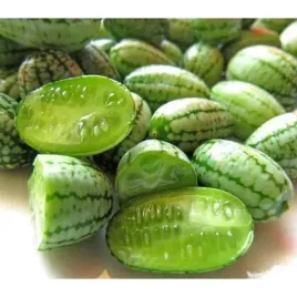 ogorek-meksykanski-swietny-w-smaku-nasiona-005g