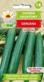 ogorek-salatkowy-gruntowy-gergana-toraf-5g