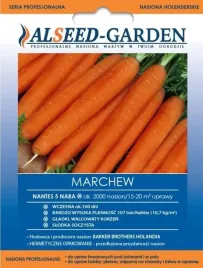 marchew-nantes-naba-nasiona-holenderskie-alseed-slodka-profesjonalne