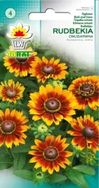 rudbekia-dwubarwna-zolto-czerwona-nasiona