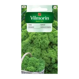 jarmuz-halbhoher-groener-2g-vilmorin-bomba