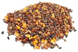 mieszanka-na-poplon-poplonowa-straczkowa-lubin-groch-peluszka-gryka-10-kg