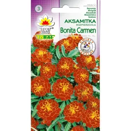 aksamitka-rozpierzchla-toraf-bonita-carmen-1g-niska-miodowo-malinowe-kwiaty