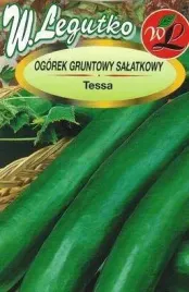 ogorek-salatkowy-tessa-f1-idealny-na-mizerie