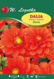 dalia-dekor-wysoka-hania-pomaranczowa-1szt-l12