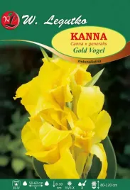 kanna-gold-vogel-zielonolistna-sadzonki-1szt-klacze-zolta-cebule-kwiatowe