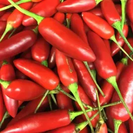 papryka-serrano-czerwona-chilli-bardzo-ostra-015g