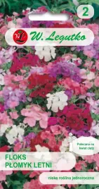 legutko-floks-letni-plomyk-mix-kolorow-odmian-niski-na-kwiaty-ciete-0-5g