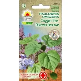 paulownia-omszona-drzewo-tlenowe-cesarskie-drzewo