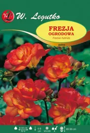 freesia-frezja-ogrodowa-pelna-czerwona-25szt-l56