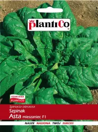 szpinak-astra-plantico-10g-wczesny-szybko-rosnacy-zdrowie-na-taledzu