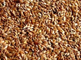 siemie-lniane-zlote-nasiona-1000-g-ziarno-siemienia-lnianego-zlotego-1-kg