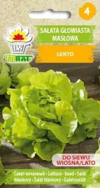 salata-maslowa-lento-do-calorocznej-uprawy-1g