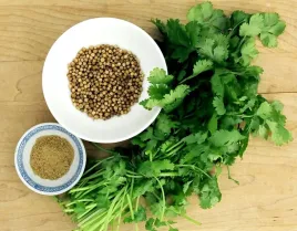 kolendra-siewna-nasiona-2g-ziola-aromatyczna