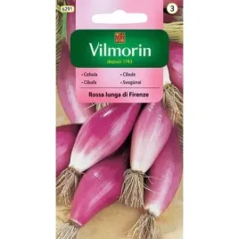 cebula-rossa-lunga-di-firenze-vilmorin-nasiona-2g