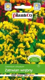 zatrwian-wrebny-letni-zolty-nasiona-kwiatow-02g-na-suche-bukiety