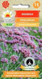 werbena-patagonska-nasiona-najdluzej-kwitnie-unikat-przyciaga-motyle