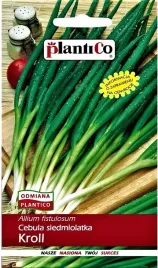 cebula-siedmiolatka-kroll-szczypiorek-wczesny-wieloletnia-nasiona