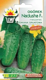 ogorek-nadusha-f1-1g-odporna-plenna-smaczna-odmiana-holenderska