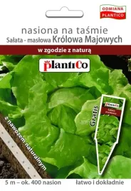 nasiona-na-tasmie-salata-maslowa-krolowa-majowych