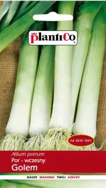 por-golem-wczesny-na-zbior-letni-nasiona