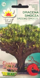 dracena-smocza-draco-drzewo-smocze-5-sztuk-toraf