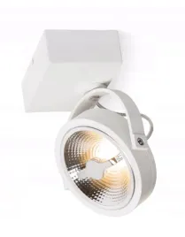 oprawa-sufitowa-natynkowa-ruchoma-ar111-biala